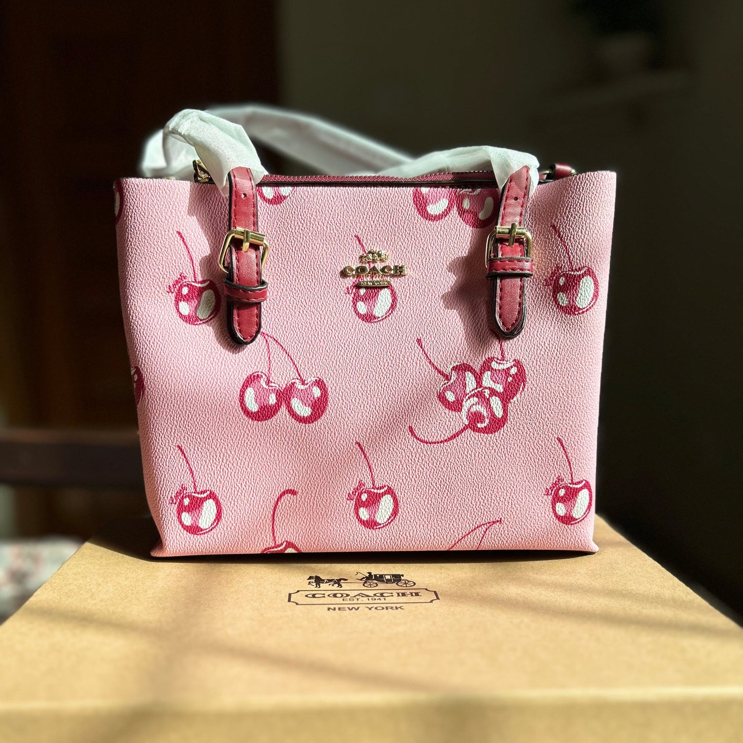 COACH Mollie Tote Cherry Pink New